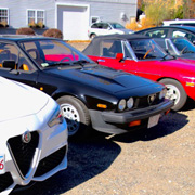 A shared lineage