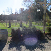 Chilled grapes