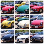 A neat collage compiled by Adrien Sipos of several Alfas all taken from the same angle