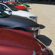 Pretty Alfas all in a row