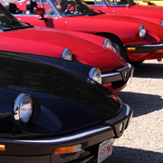 Just can't get enough photos of our Alfas lined up in the sun