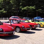 Just can't get enough photos of our Alfas lined up in the sun