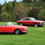 Some photos of our Alfas displayed on Concours DeWaele
