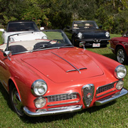 Some photos of our Alfas displayed on Concours DeWaele