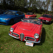 Some photos of our Alfas displayed on Concours DeWaele