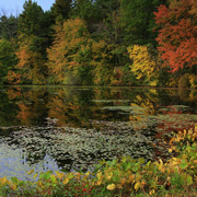 All along the route, we encountered beautiful foliage and scenery such as this