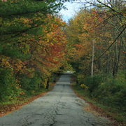 This was typical of the roads we traveled - heavenly!