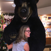 At the White Mountains Visitor Center, Meg Anderson suddenly felt in need of a bear hug