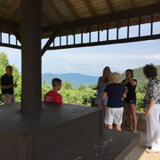 ... while their drivers and passengers pause to enjoy the views