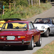 The Alfas swarm about in confusion for a short while