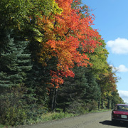 We didn't expect the foliage to be as nice as it was