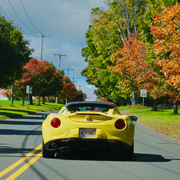 We didn't expect the foliage to be as nice as it was