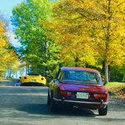 Some photos taken from along the route