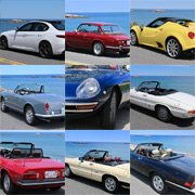 A collage of our Alfas taken at the ocen overlook