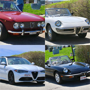 A collage of aome of our Alfas at the Hull Cemetery