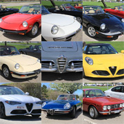 A collage of the Alfas lined up, rarin' to go