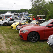 Looking down the row of Alfas in the corral