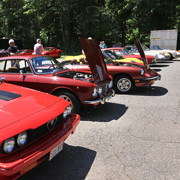 Several photos of the cars (and people) that participated in the event