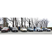 The Alfas wait, while the humans are ...