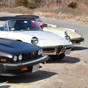 Alfas at the beach