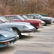 Alfas in repose