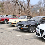 Alfas in repose
