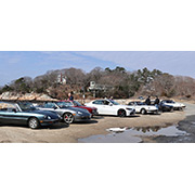 Alfas at Kettle Cove