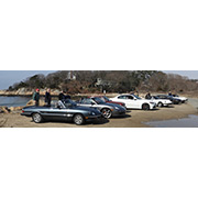 Alfas at Kettle Cove