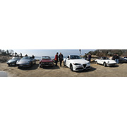 Alfas at Kettle Cove