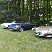A few shots of our many and varied Alfas
