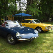 A few shots of our many and varied Alfas