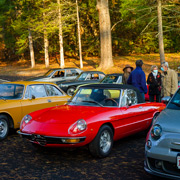 Some photos of our Alfas and us before driving up to the castle