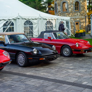Some photos of our Alfas gracing the Searles Castle courtyard