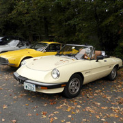A few of the other Alfas at the start