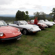 Our Alfas lined up at the scenic Apex Orchard