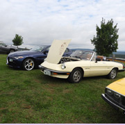 Our Alfas lined up at the scenic Apex Orchard