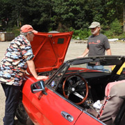 How many Alfisti does it take to get a Spider to idle?
