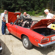 How many Alfisti does it take to get a Spider to idle?